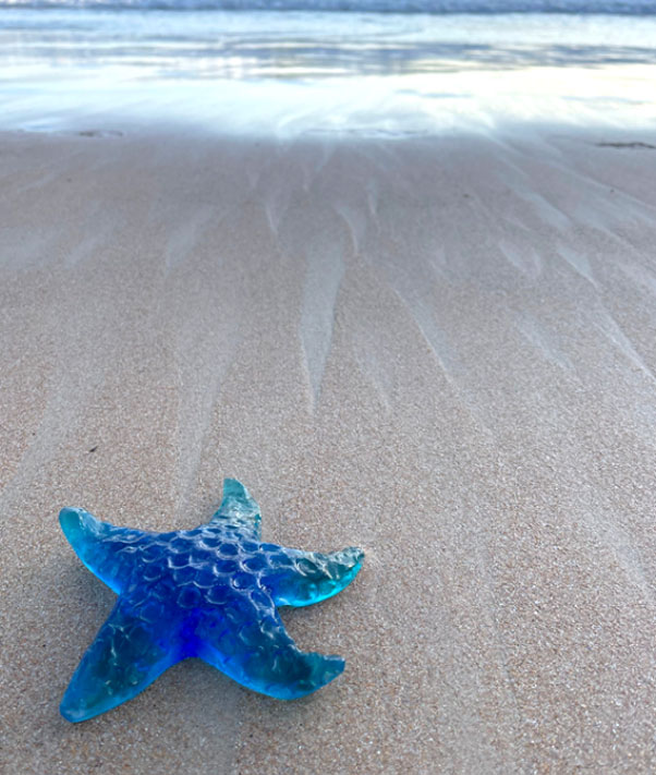 Star fish on sea shore