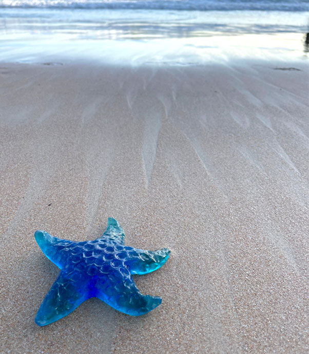 Star fish on seashore